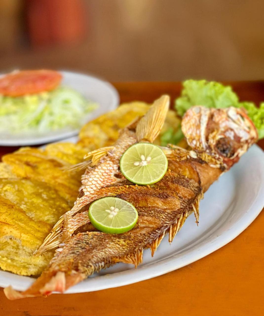 Arca Tayrona Restaurant & Hostal Los Naranjos Kültér fotó